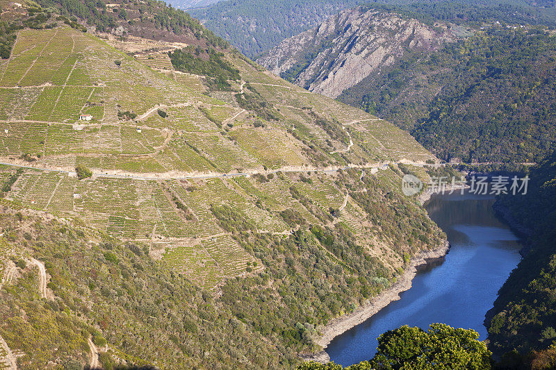 在Ribeira Sacra, Sil River的葡萄园